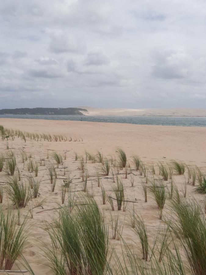 Dune La Teste-de-Buch Luaran gambar